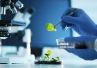BIOTECHNOLOGY AND ITS SIGNIFICANCE IN CURRENT INDUSTRY