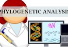 PHYLOGENETIC ANALYSIS: METHODS, TOOLS, AND CAREERS