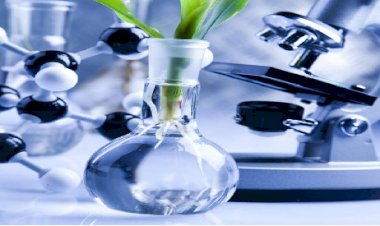 Biotechnology and its Applications