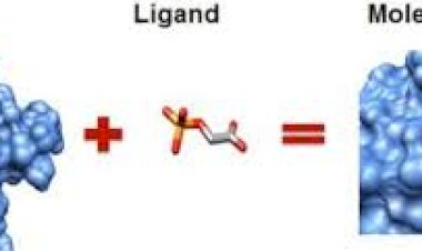 Advantages of Insilico Drug Discovery
