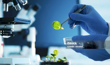 BIOTECHNOLOGY AND ITS SIGNIFICANCE IN CURRENT INDUSTRY