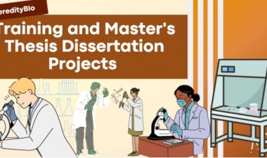 Master Your Path: The Ultimate Guide to Excelling in Training and Dissertation Courses
