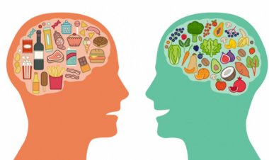 The connection between Nutrition and Mental  Well-being