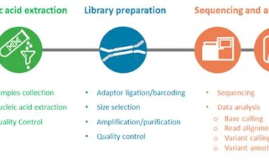 Next-Generation Sequencing (NGS): A Beginner’s Guide & Its Scope