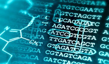 The Role of Programming Languages in Modern Biological Research