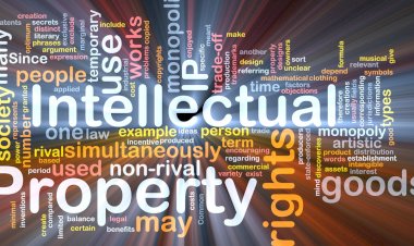 Understanding Intellectual Property Rights for Freelancers and Small Businesses