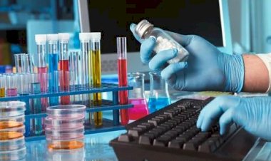 Biotech vs. QA/QC: Which Certification Course is Perfect for You?