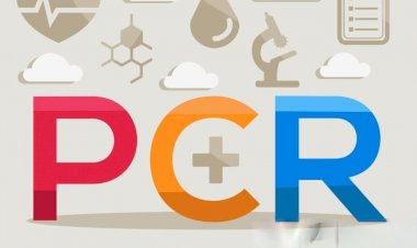PCR Explained: A Critical Tool For Molecular Biology