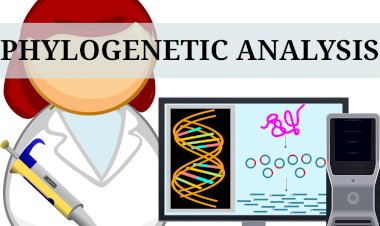 PHYLOGENETIC ANALYSIS: METHODS, TOOLS, AND CAREERS