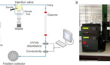 PROTEIN PURIFICATION BY HPLC: A HIGH-PRECISION TECHNIQUE IN BIOCHEMISTRY
