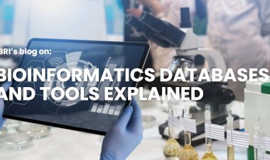 BIOINFORMATICS DATABASES AND TOOLS EXPLAINED