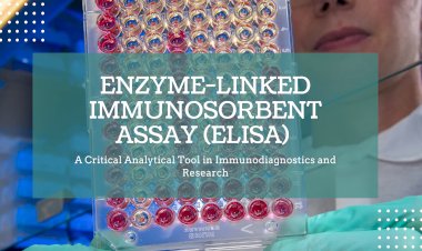 ELISA: A Critical Analytical Tool in Immunodiagnostics and Research