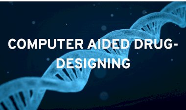Computer-Aided Drug Designing (CADD)