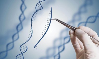 From Decades to Days :The Wild History of DNA Sequencing