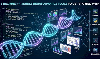 5 Beginner-Friendly Bioinformatics Tools to Get Started With
