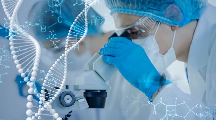 Identifying Unknown Strains Using 16S rRNA Gene Sequencing