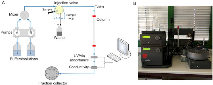 PROTEIN PURIFICATION BY HPLC: A HIGH-PRECISION TECHNIQUE IN BIOCHEMISTRY
