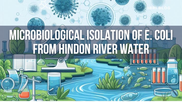Detecting and Isolating E. Coli from Contaminated Hindon River Water